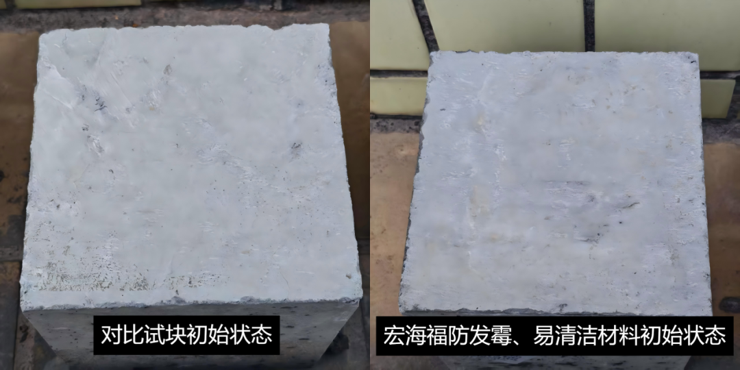 图片19.png
