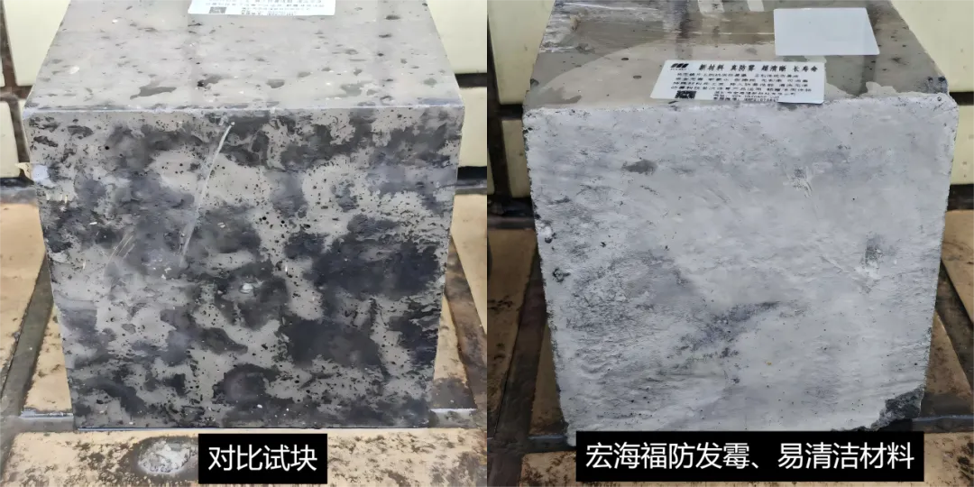 图片20.png