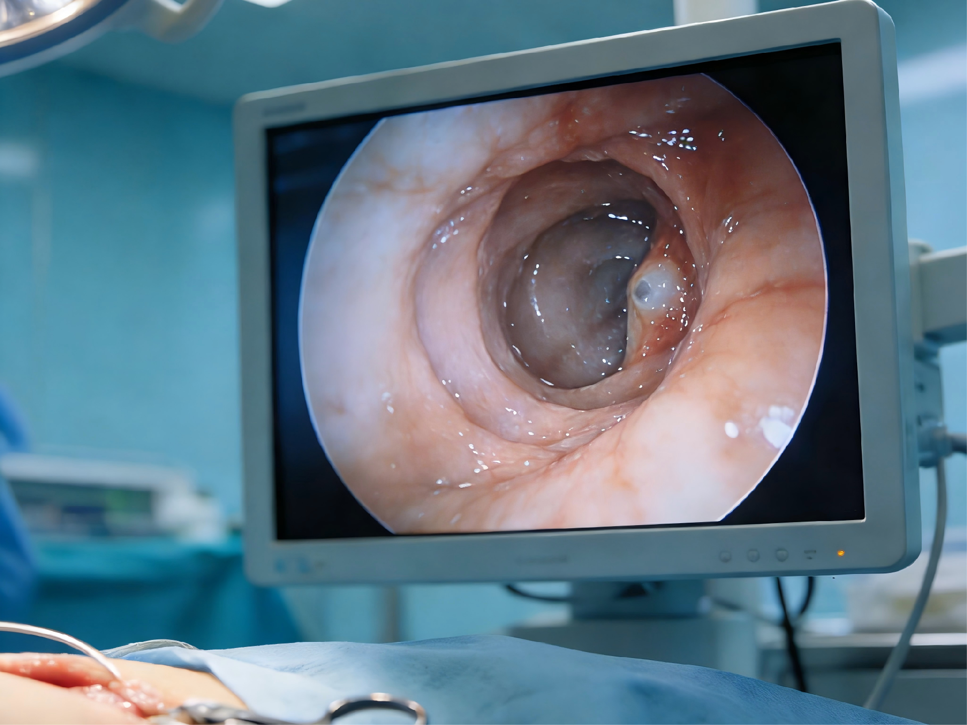 1769044226992142.png 生成特定比例图片 (1).png